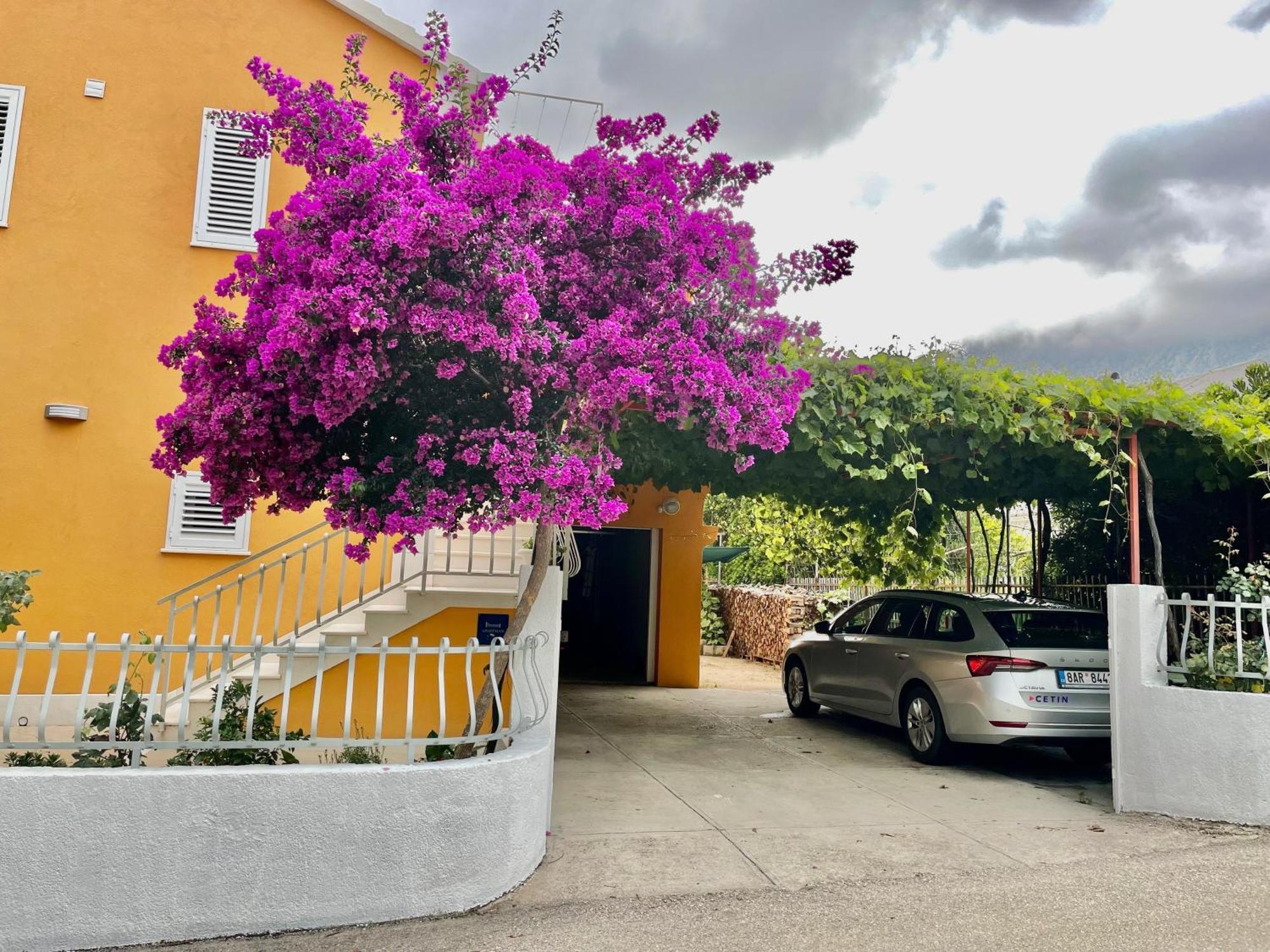 Apartments With A Parking Space Orebic, Peljesac - 4527 Exterior photo
